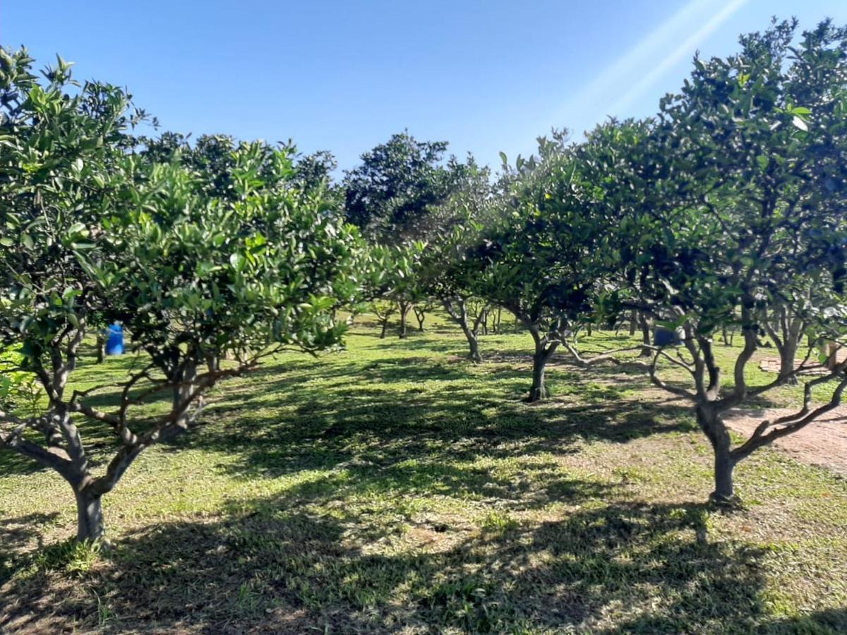 Casa Di Pecora - Pousada Rural Lauro Muller Esterno foto