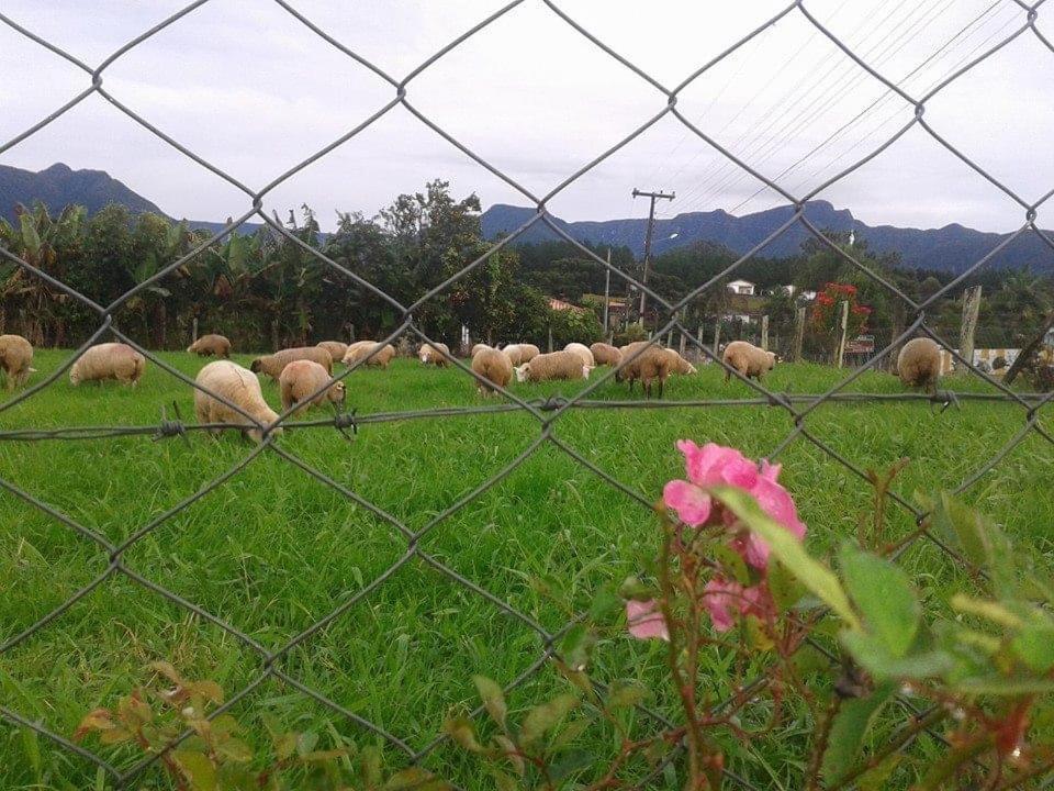 Casa Di Pecora - Pousada Rural Lauro Muller Esterno foto